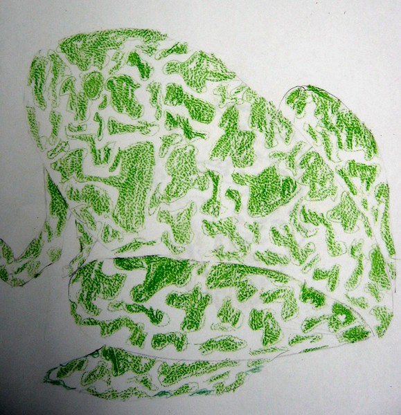 Frog - Austin age 12