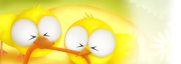 cute chick and duck