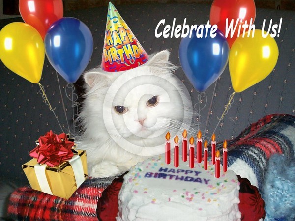 Celebrate With Us!