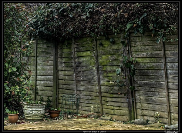 Fence