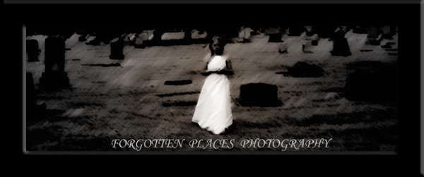My web site logo
