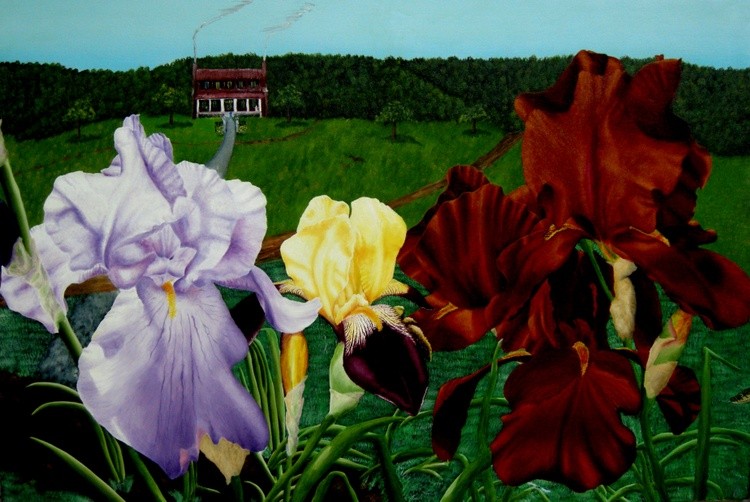 M s  O s Irises 