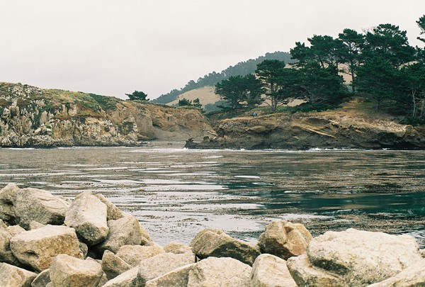 Whalers Cove, Calif