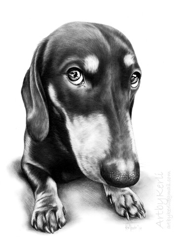Bruno
