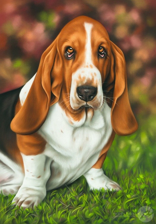 Hector