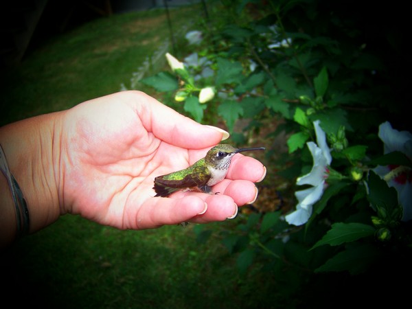In My Hand