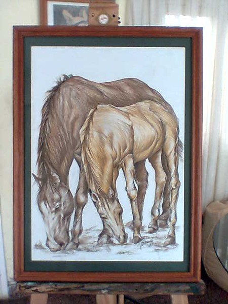 caballo 3