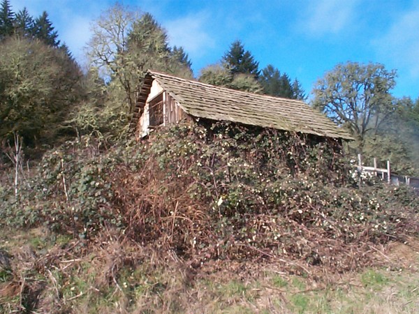 Marcola Barn