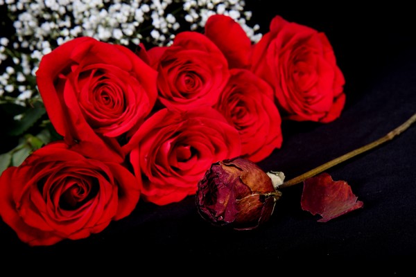 Picture_052