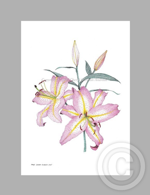 Pink Lilies Ink Pointillism