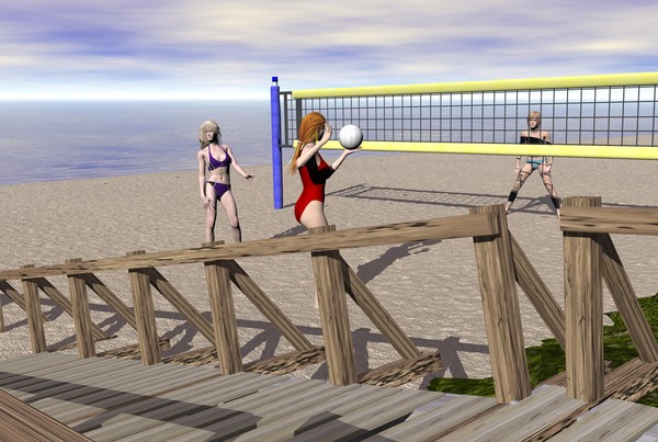 Beach Volleyball Game