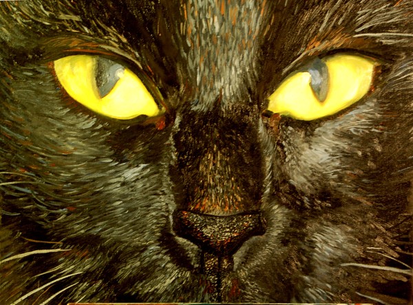 black_cat