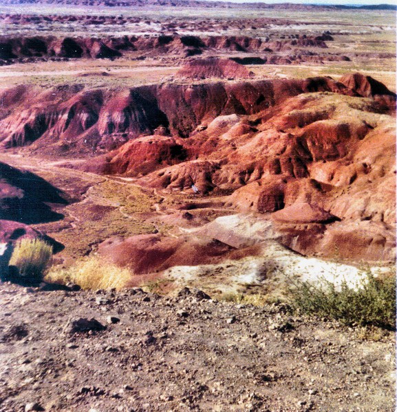 painted deserta