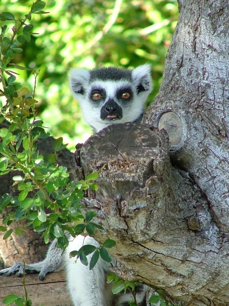 I see You
