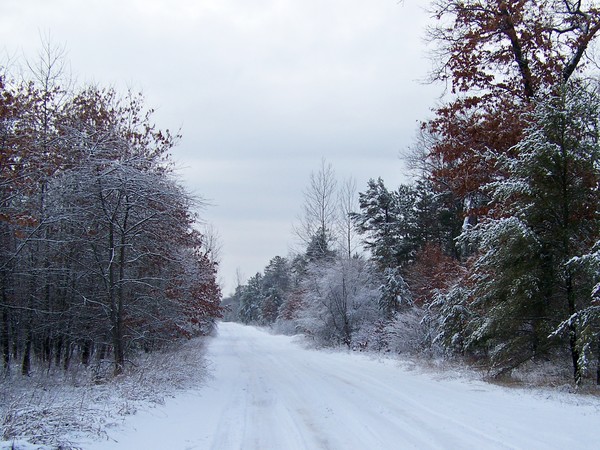 WINTER IN MICHIGAN