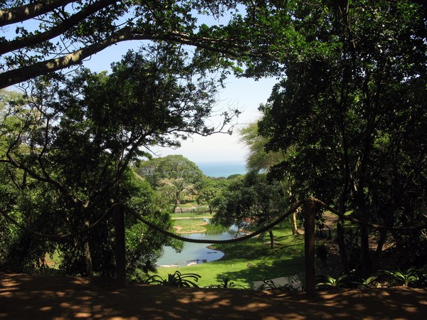 IMG 2709 resize