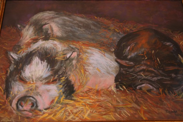three Little Pigs