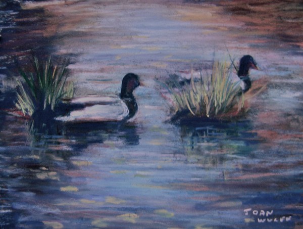 Ducks