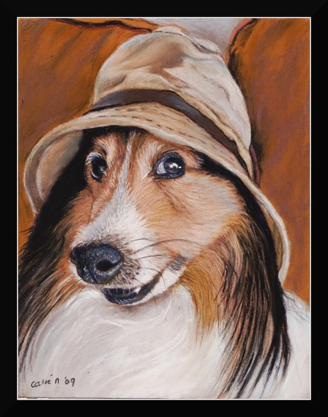 nc art orig pastel sheltie dog