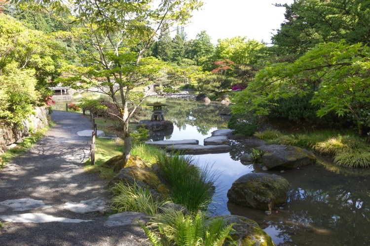 nice stroll through the garden