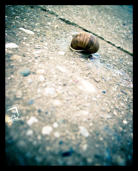 Alone on the road...