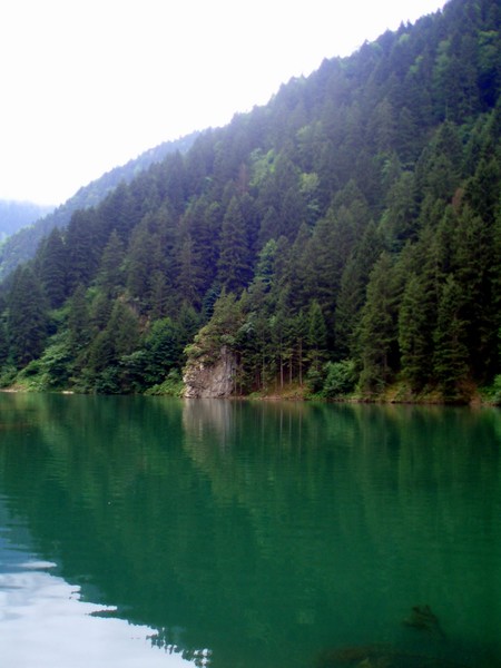 Uzungöl (longlake)-Trabzon...