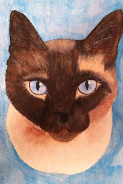 Gizmo