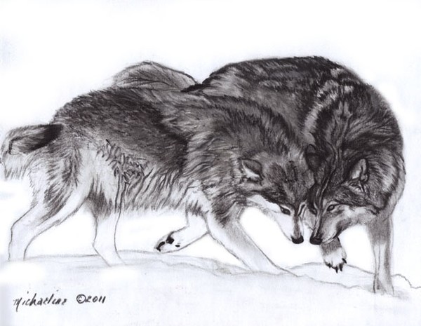 Loyalty