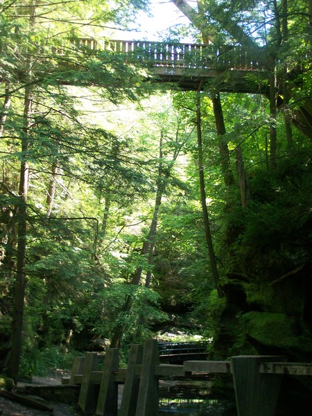Pathways