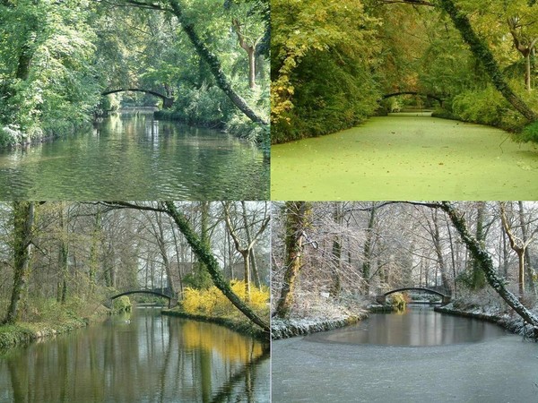 4 SEASONS