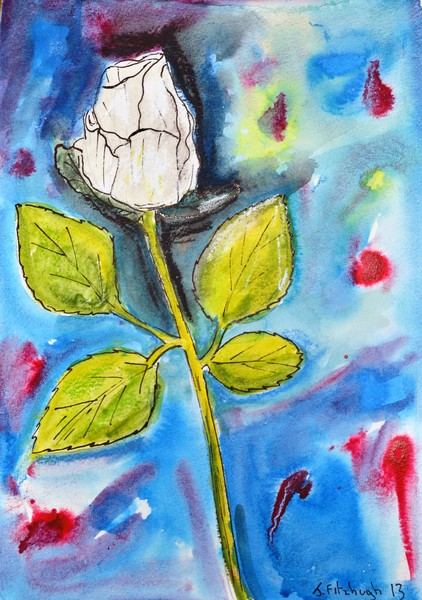WHITE ROSE