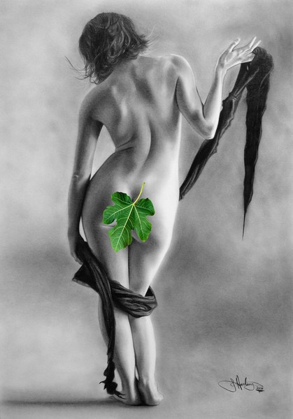 voluptuos nude drawing