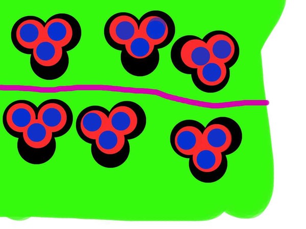 Mickey