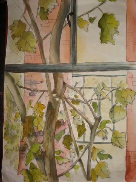 Window