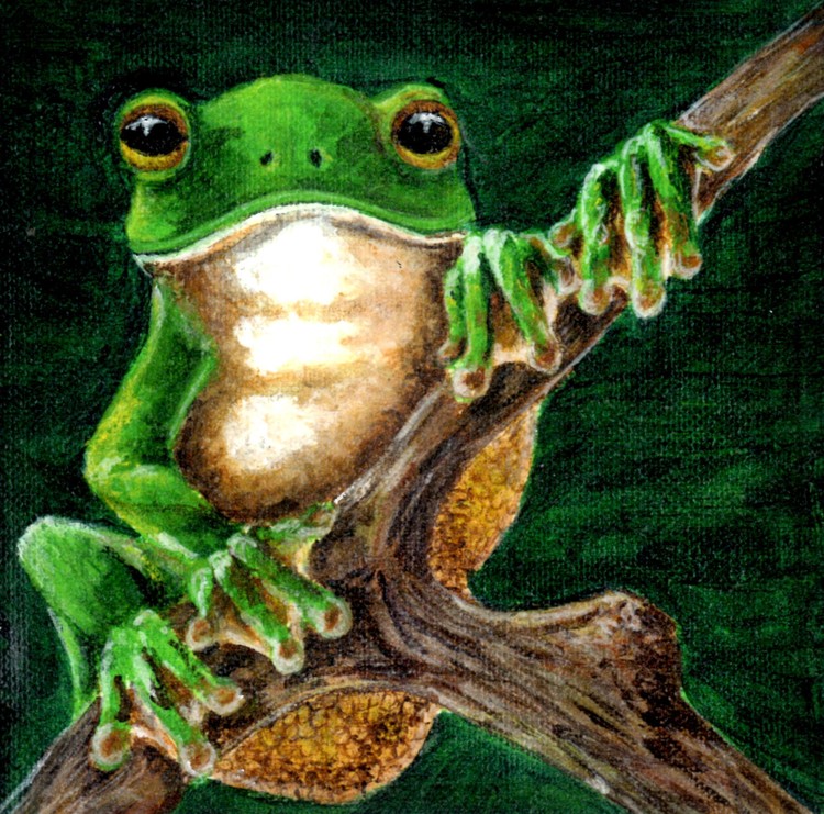frog
