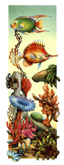 Fish 
