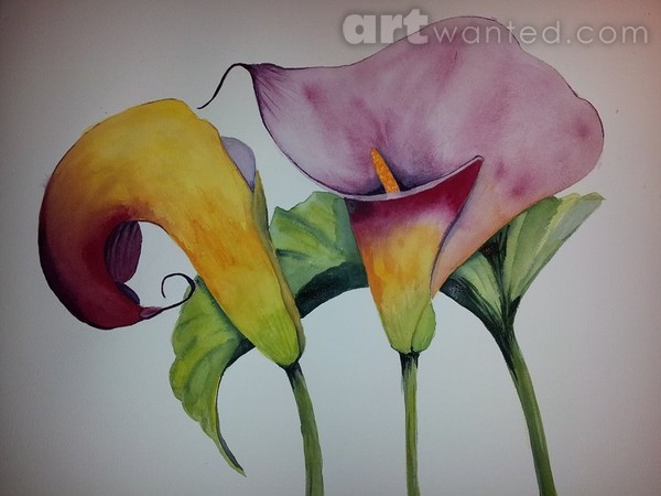 Colorful Callies