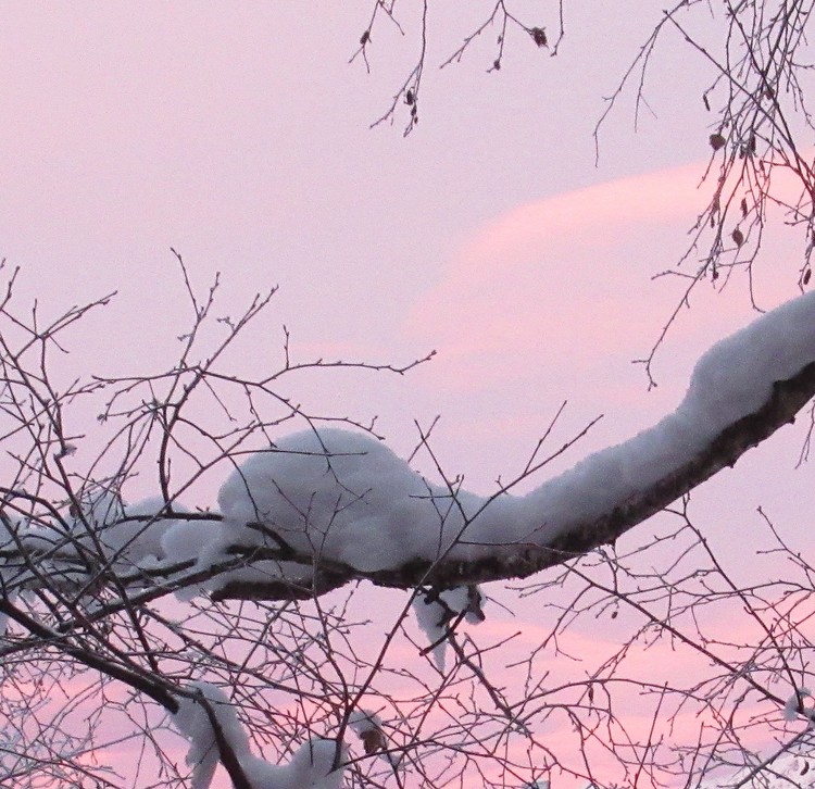 SUNSET IN THE MOUNTAIN