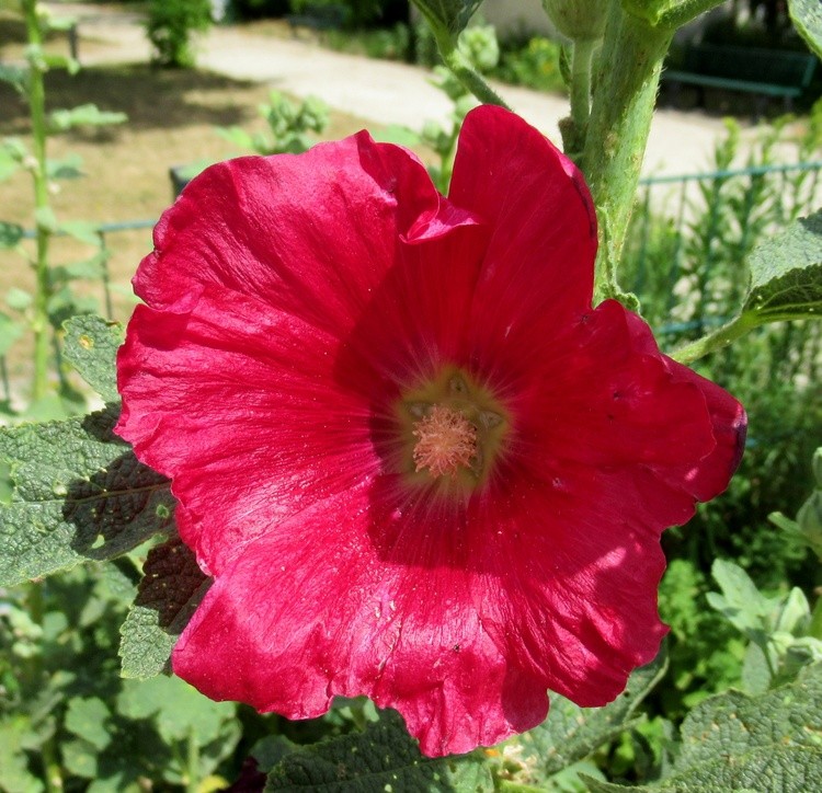 HAPPY WEEK-END !