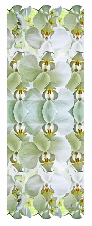 Orchid