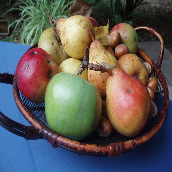 Still life aa1