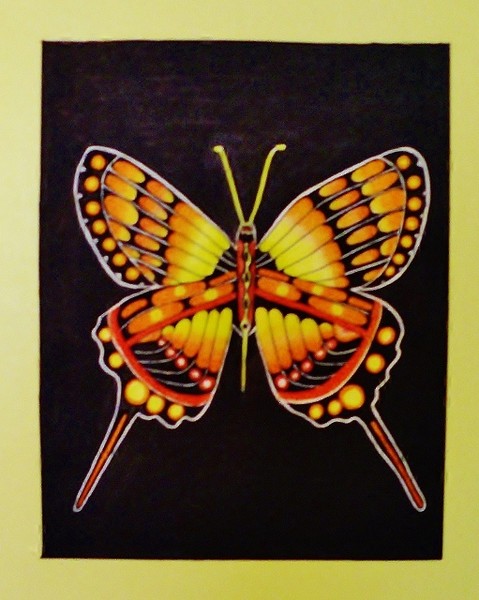 Butterfly 2  8x10 Print $12