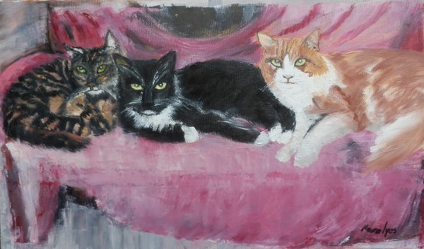 Three tomcats