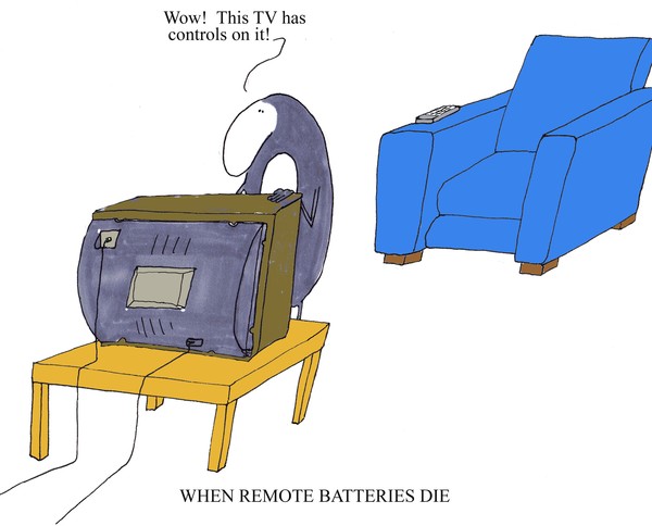 when remote batteries die