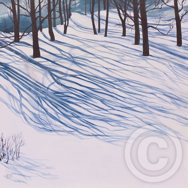 winter shadows
