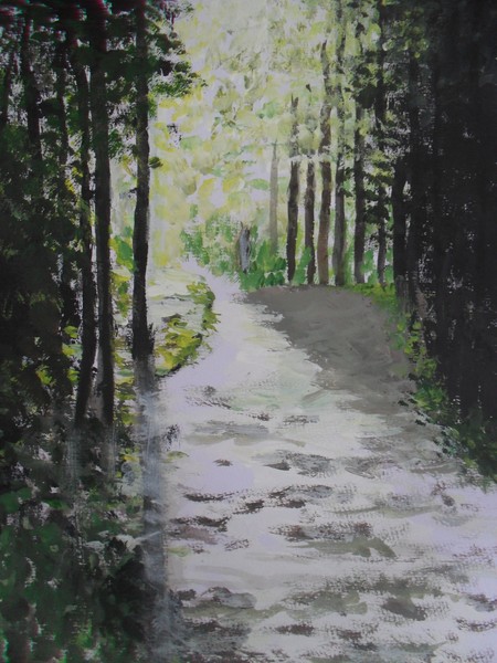 coed-y-brenin forest in gwynedd
