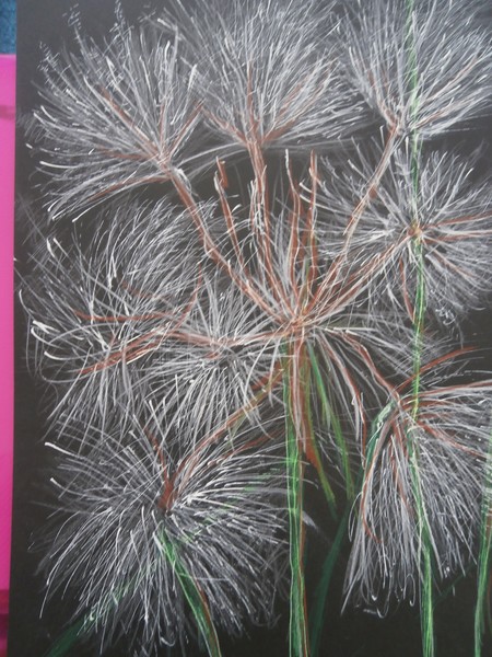 plant study