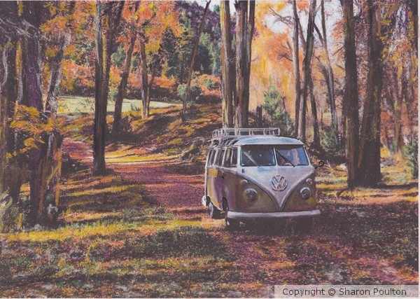 Woodland