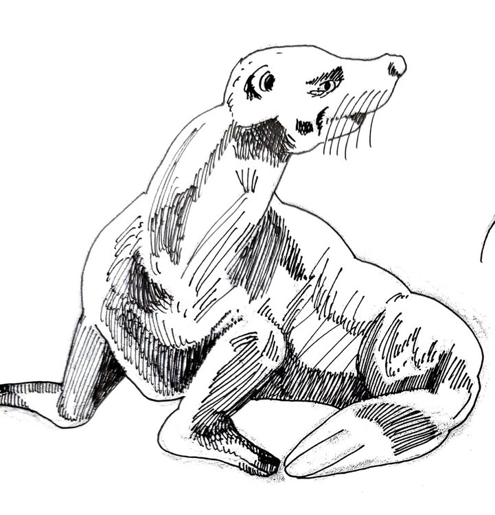 Sea lion 2