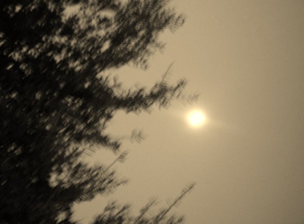 Moonlight.